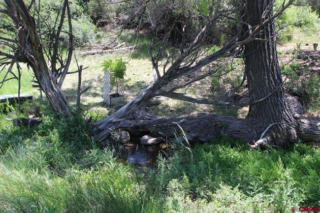 14433 2600 Rd, Home with 0 bedrooms, 0 bathrooms and null parking in Cedaredge CO | Image 28