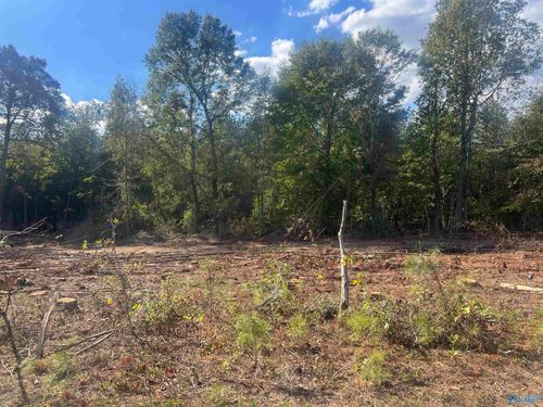 Lot 4, Tract 3 Summer Breeze Dr, Cedar Bluff, AL, 35959 | Card Image