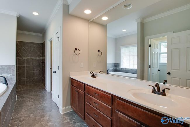253 Waterbrook Ln, House other with 3 bedrooms, 3 bathrooms and null parking in Harvest AL | Image 24