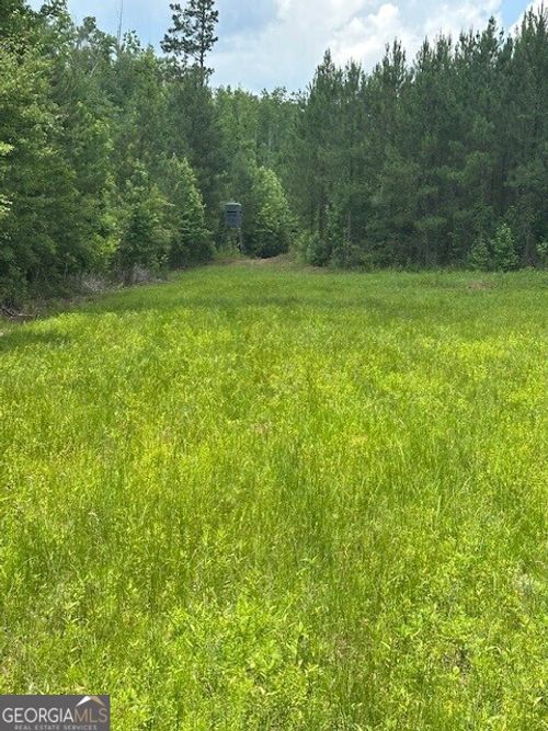 0 Jordan Rd, Waverly Hall, GA, 31831 | Card Image