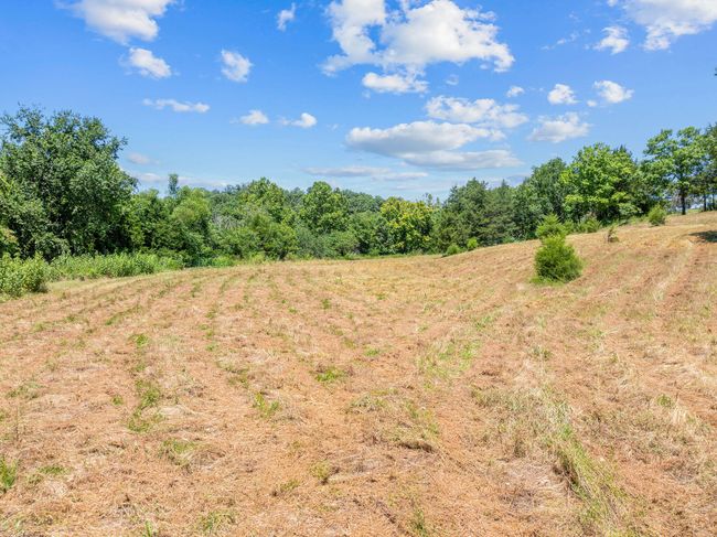 Cleared Area | Image 12