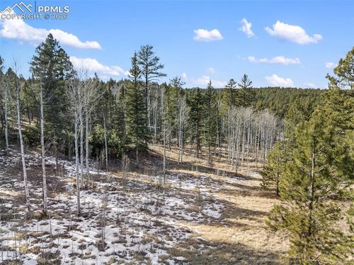 Lot 20A Echo Lake Drive, Lake George, CO, 80827 | Card Image