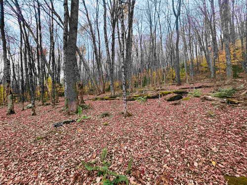 00 Alpendorf Ave, Readsboro, VT, 05350 | Card Image