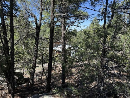 81 Felsic Rd, Grants, NM, 87020-9024 | Card Image