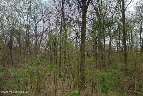 3768 Bird Cv, Hernando, MS, 38632-4272 | Card Image