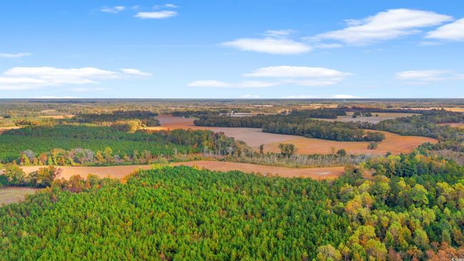 17 Arnette Rd., Home with 0 bedrooms, 0 bathrooms and null parking in Dillon SC | Image 11