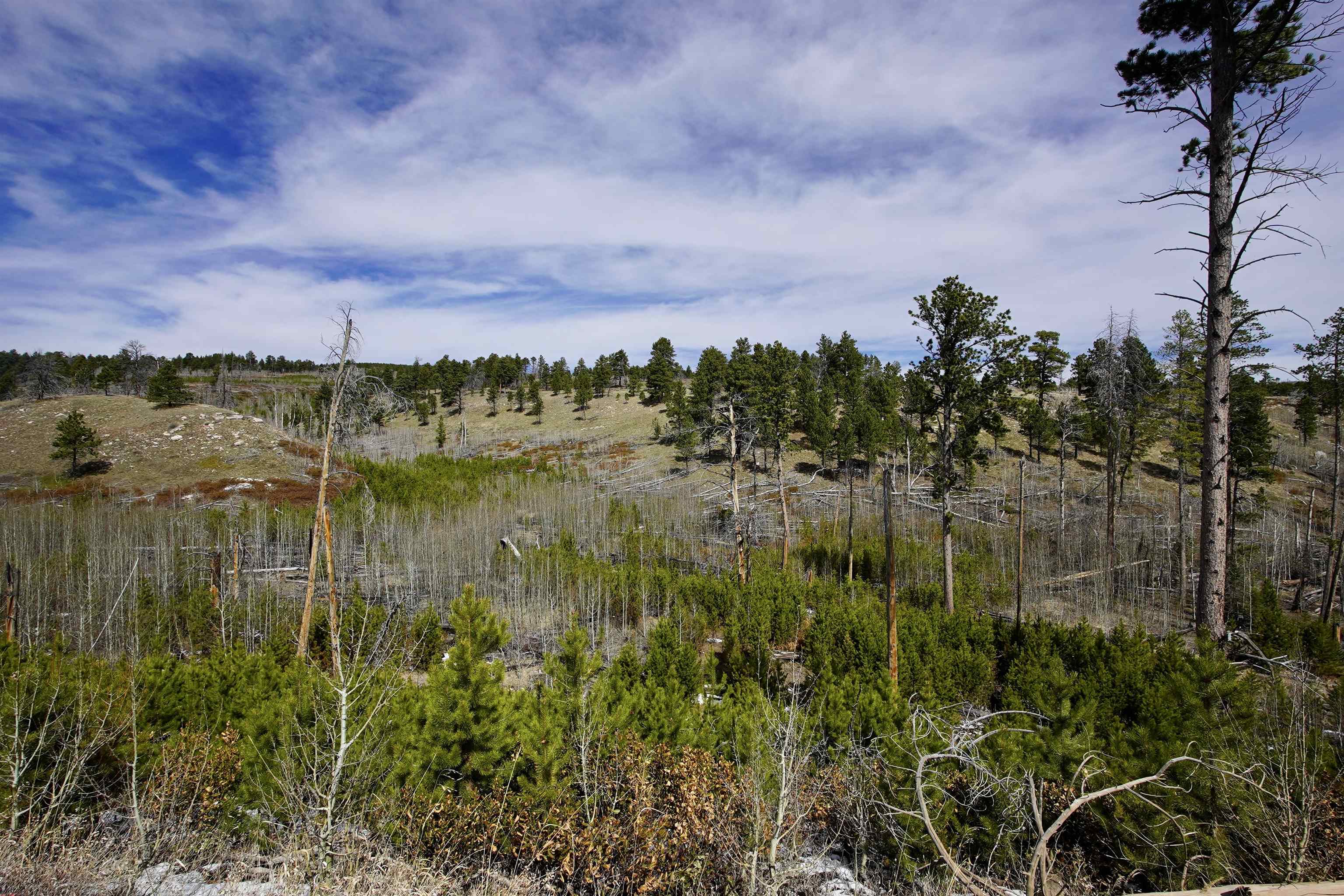 Land in Casper 4