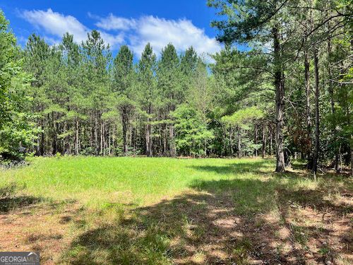 87.12 AC Salter Rd, Davisboro, GA, 31018 | Card Image