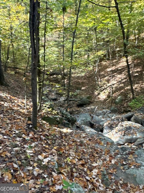 TRACT 3 Dennis Creek Rd, Talbotton, GA, 31827-2829 | Card Image