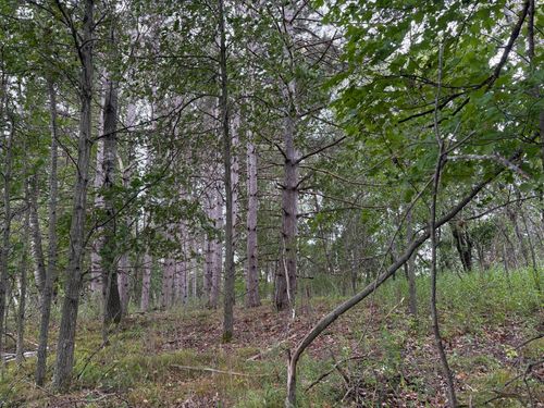 Lot 2 Lever Ct Ne, Isanti, MN, 55040 | Card Image