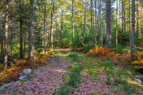 Map 17 Bear Srprings Lane, Surry, ME, 04684 | Card Image