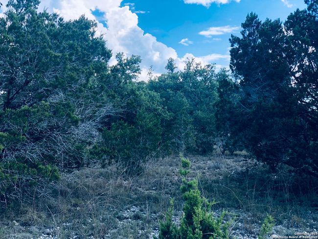 1020 Cliff Cir, Home with 0 bedrooms, 0 bathrooms and null parking in Spring Branch TX | Image 12