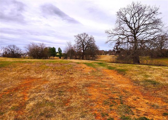 Nice and level from the front to middle and the back portion slopes down hill. | Image 15
