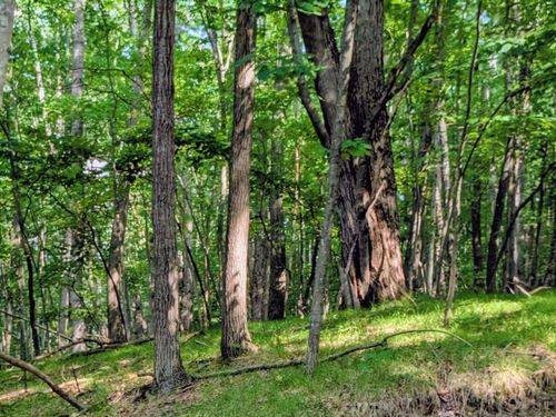 11717 Broken Arrow Ln, Canadian Lakes, MI, 49346-8857 | Card Image