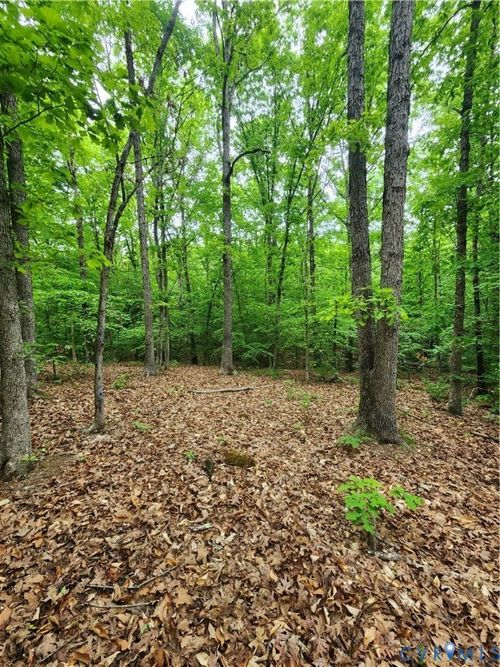 0 Bryants Ford Rd, FORK UNION, VA, 23055 | Card Image