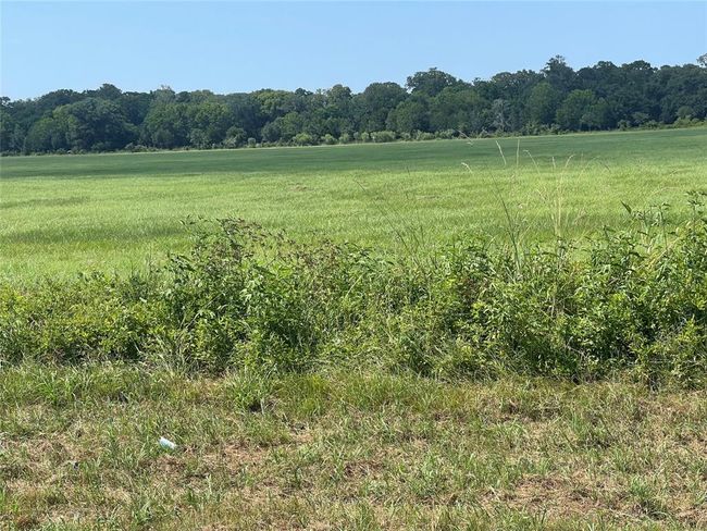 00 1462, Home with 0 bedrooms, 0 bathrooms and null parking in Damon TX | Image 6