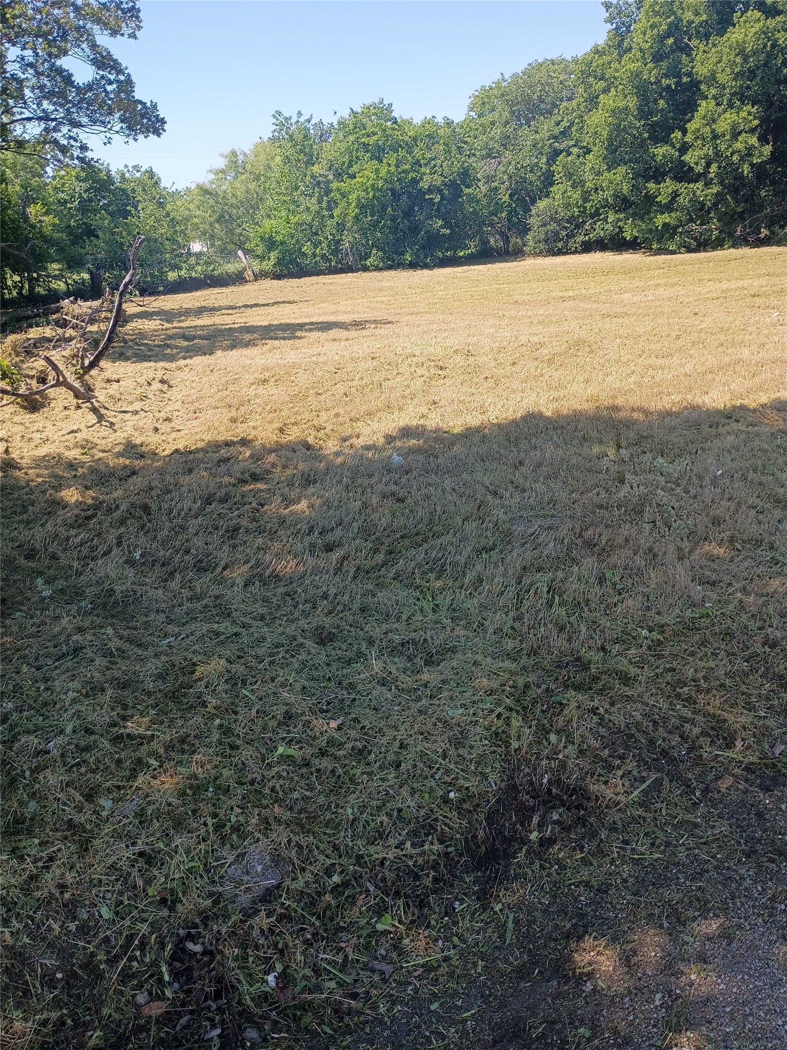 Land in Mineral Wells 2