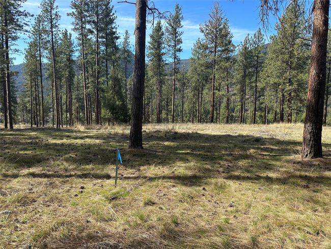 31760 Old Highway 10 W, Home with 0 bedrooms, 0 bathrooms and null parking in Alberton MT | Image 14