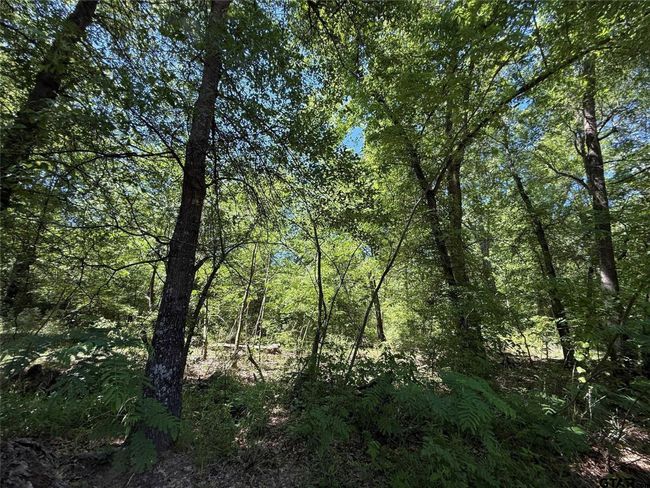 72 Acres N Farm Road 900, Home with 0 bedrooms, 0 bathrooms and null parking in Saltillo TX | Image 34