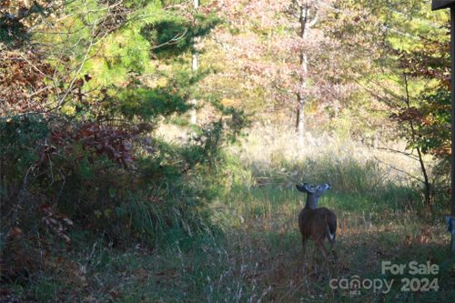 159 Clarks Chapel Extension, Weaverville, NC, 28787 | Card Image