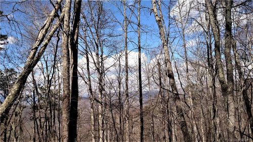 lot-15-sec-4-0000 Wild Turkey Dr, Whittier, NC, 28789 | Card Image