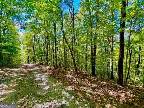 0 Double Knob Rd, Ellijay, GA, 30540 | Card Image