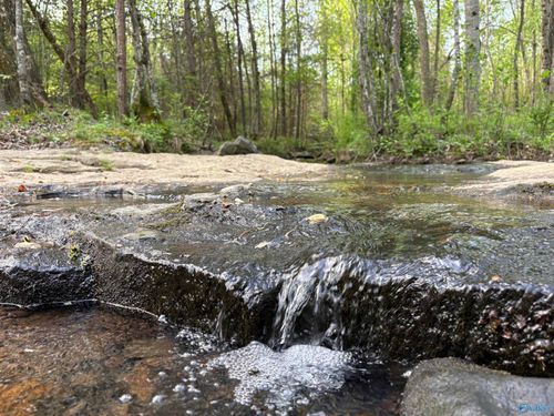 20.90 ac County Road 361, Pisgah, AL, 35765 | Card Image