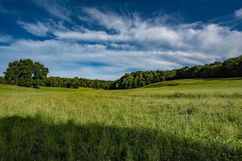 0 Pinewood Rd, Nunnelly, TN, 37137 | Card Image