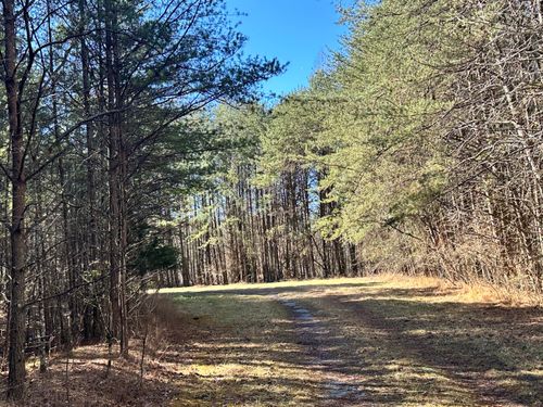 0 Grays Creek Rd, Whitwell, TN, 37397 | Card Image