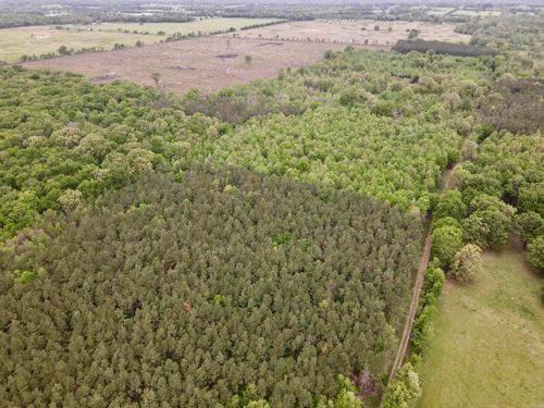 000 Dragstrip Ln, Dardanelle, AR, 72834 | Card Image