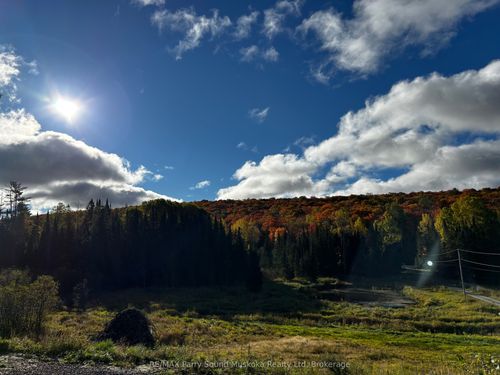 556 Highway 518 E, Emsdale, ON, P0A1J0 | Card Image