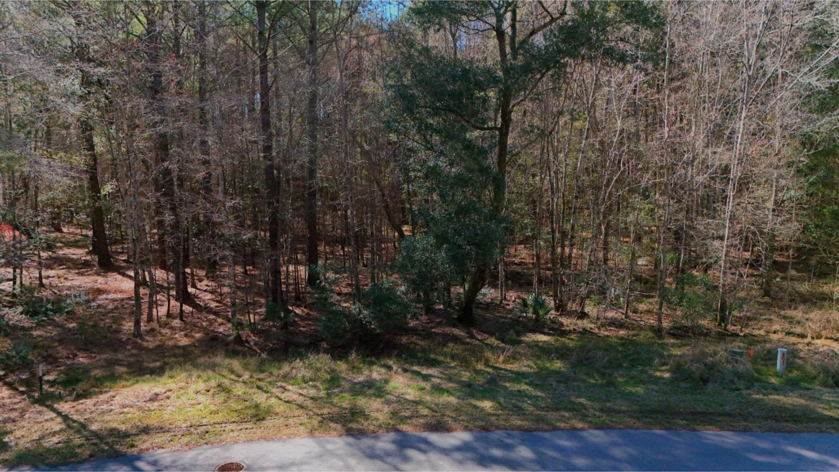 Land in Yemassee 3