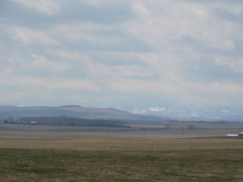 {{alt}} | Card Image