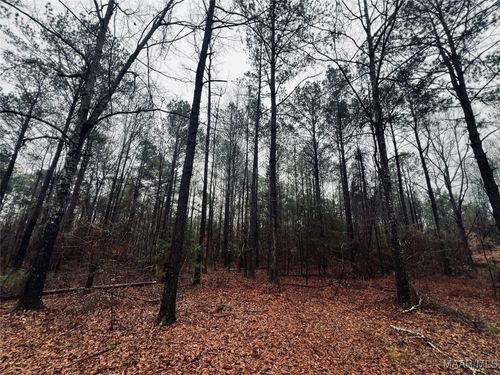 0 Lee Road 660, AUBURN, AL, 36832 | Card Image