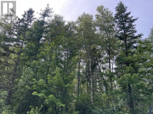 Rte 12 Tyne Valley, Tyne Valley, PE, C0B2C0 | Card Image