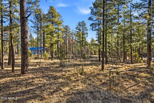 019f-2090 Knotty Pine Circle, Overgaard, AZ, 85933 | Card Image