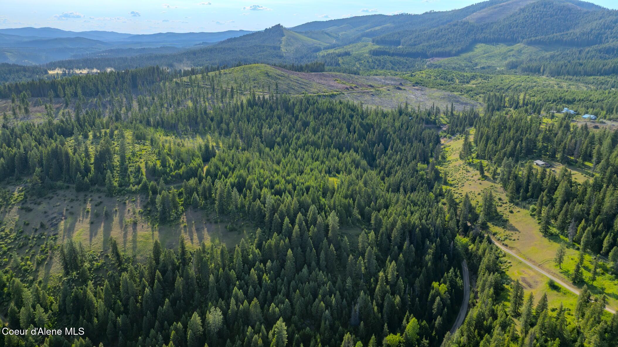Land in St. Maries 3