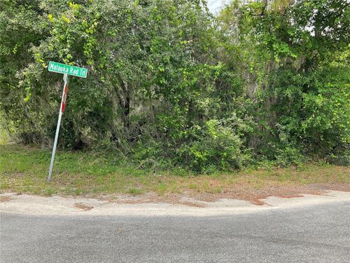 TBD Lot 59 Malauka Radial Trail, OCKLAWAHA, FL, 32179 | Card Image