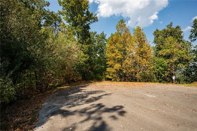 0 Carters Overlook Dr, Home with 0 bedrooms, 0 bathrooms and null parking in Ranger GA | Image 11