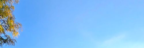 1513 Elder Dr, Aurora, IL, 60506-1220 | Card Image