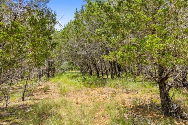 23809 Oscar Rd, House other with 3 bedrooms, 2 bathrooms and null parking in Spicewood TX | Image 16