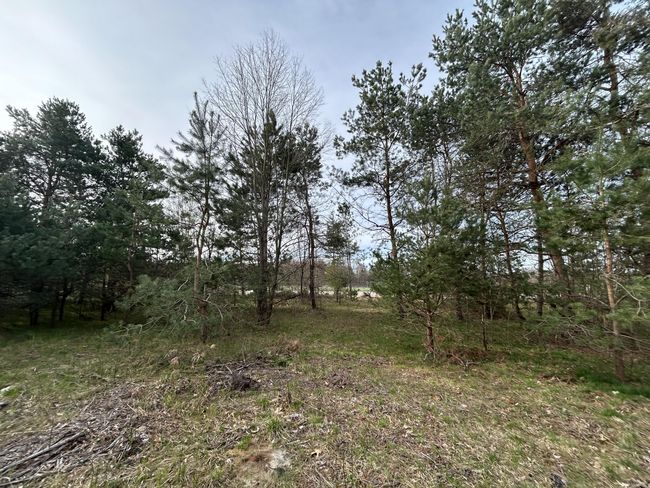 LOT-25 - V/L E Sternberg Road, Home with 0 bedrooms, 0 bathrooms and null parking in Fruitport MI | Image 12
