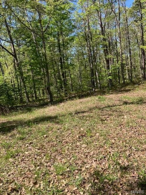 12 W State Highway 8, Potosi, MO, 63660 | Card Image