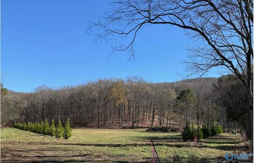 125 King Drake Road, Brownsboro, AL, 35741 | Card Image