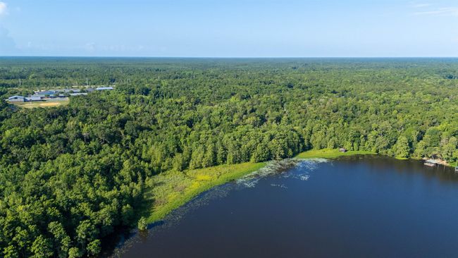 1007 Williams Landing Rd, House other with 3 bedrooms, 3 bathrooms and null parking in TALLAHASSEE FL | Image 59