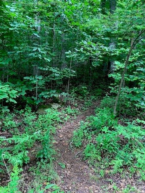 tbd Whitewater Cove Rd, Black Mountain, NC, 28711 | Card Image