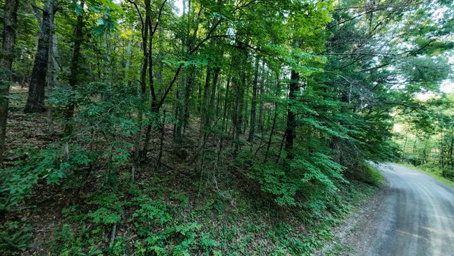 Parcel 2-25 | Image 13