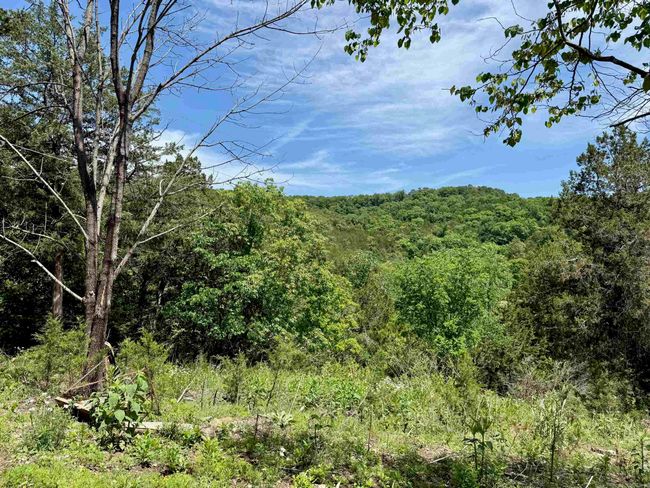 103 Prospect Ln, House other with 2 bedrooms, 2 bathrooms and null parking in Norfork AR | Image 12
