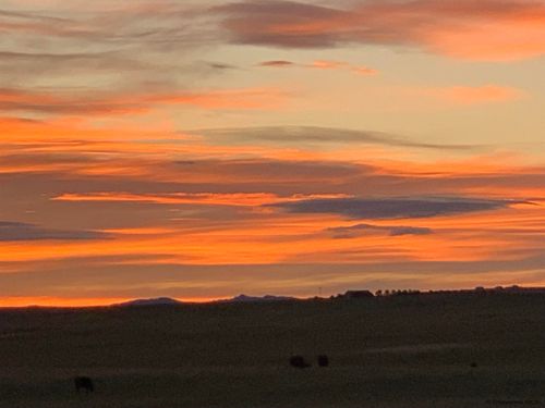 TBD Road 215, Cheyenne, WY, 82009 | Card Image