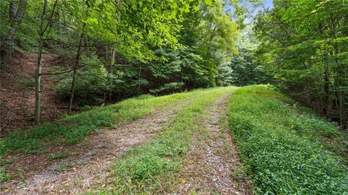 10 Papa Bear Path, Cherry Log, GA, 30522 | Card Image